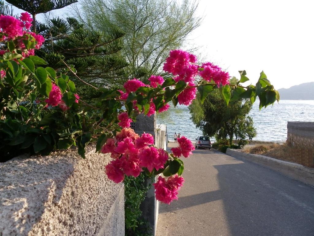 Villa Pefkos Beachfront Pefki (Rhodes)