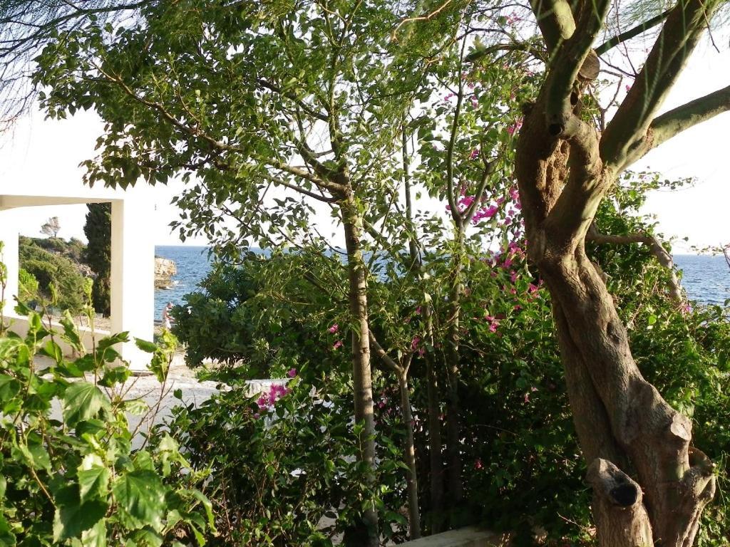 Pefkos Beachfront *